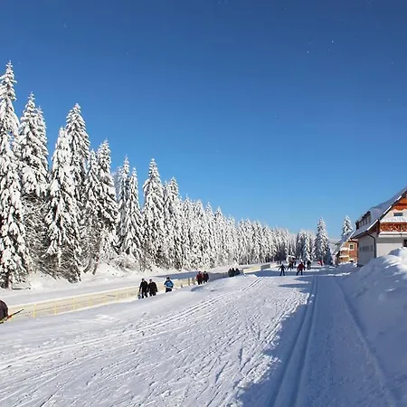 Stacja Jakuszyce Homestay Szklarska Poreba