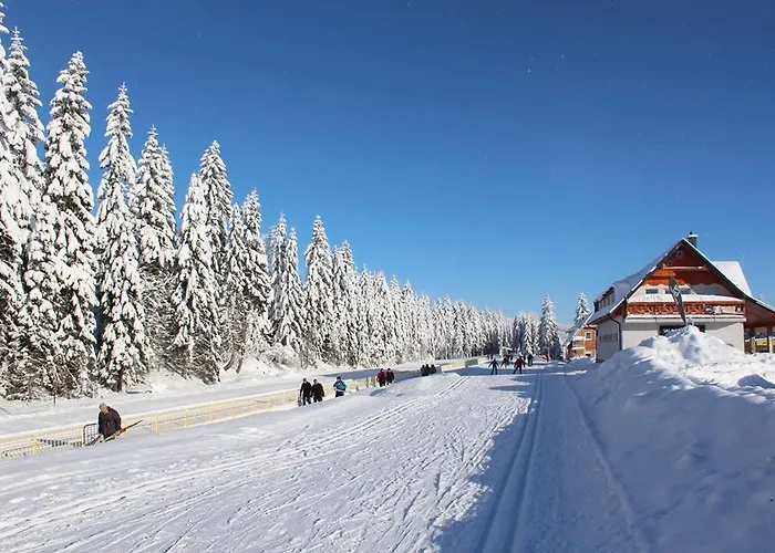 Stacja Jakuszyce Homestay Szklarska Poreba