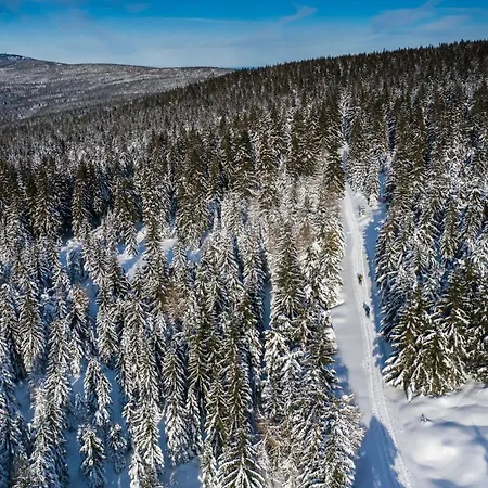 Stacja Jakuszyce 民宿 斯克拉斯卡波伦巴