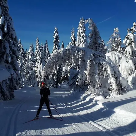 民宿 Stacja Jakuszyce