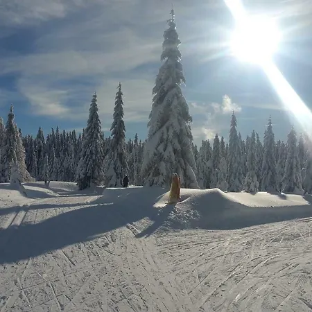 Stacja Jakuszyce 斯克拉斯卡波伦巴