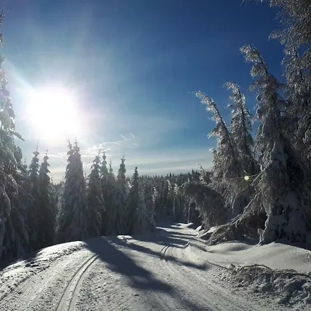 Stacja Jakuszyce 民宿 斯克拉斯卡波伦巴