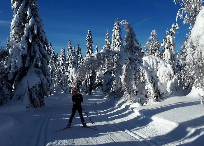 Ubytování v soukromí Stacja Jakuszyce